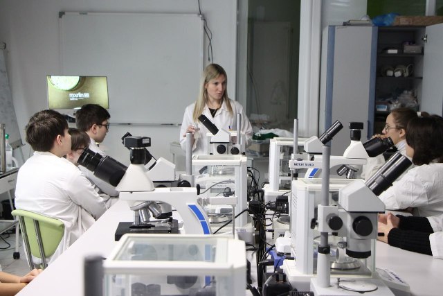 ������ ���� �������� ������